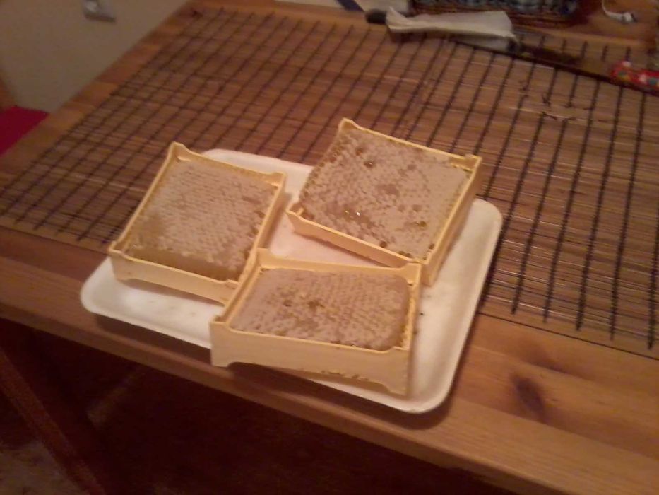 Vând 10 familii de albine, județul Giurgiu