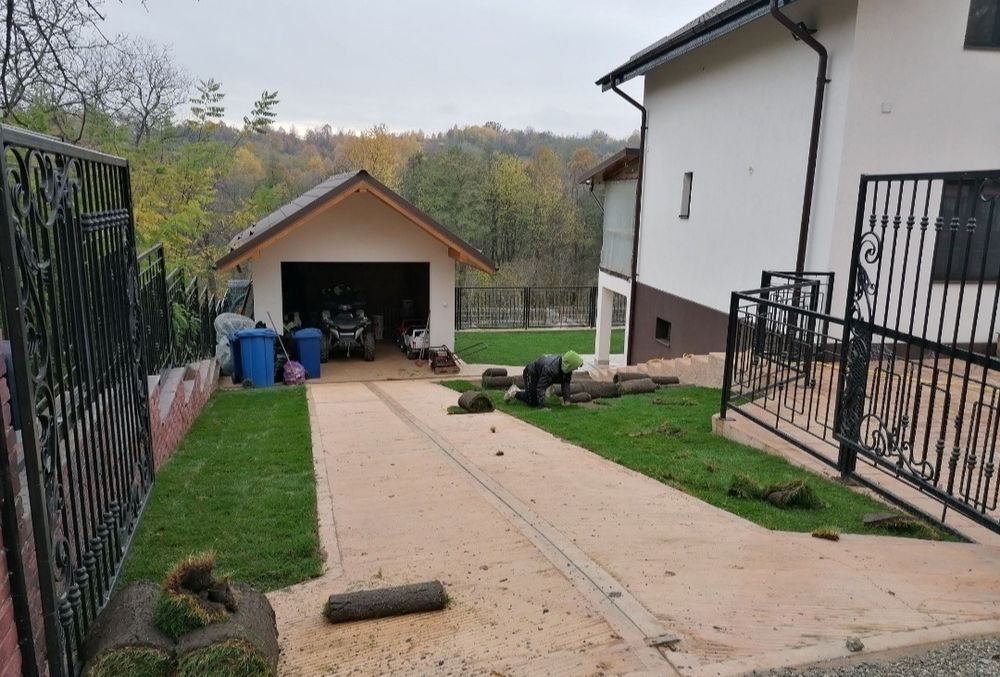 Gazon rulou de trafic 24 de lei m2.Transport și montaj inclus în preț.