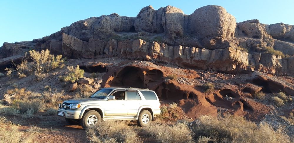 Перевозка животных