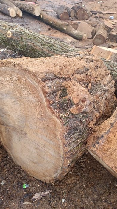 Карагач для рубки мяса