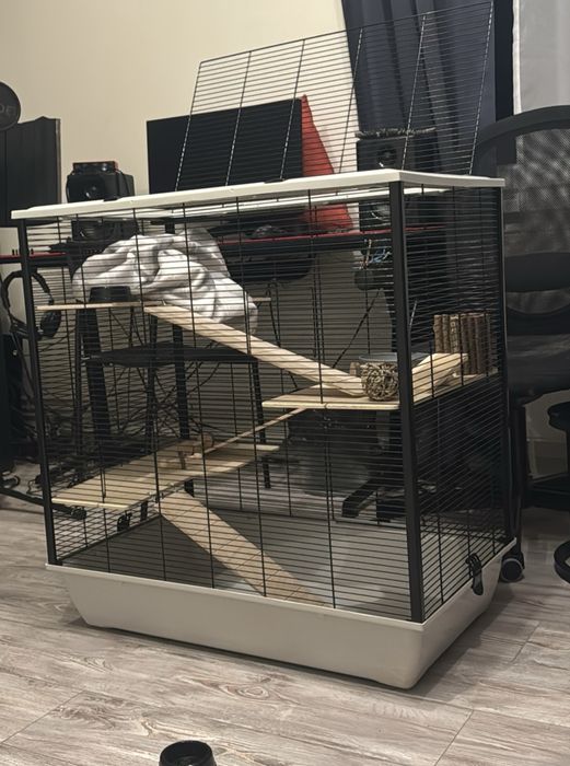 cusca rozatoare foarte mare