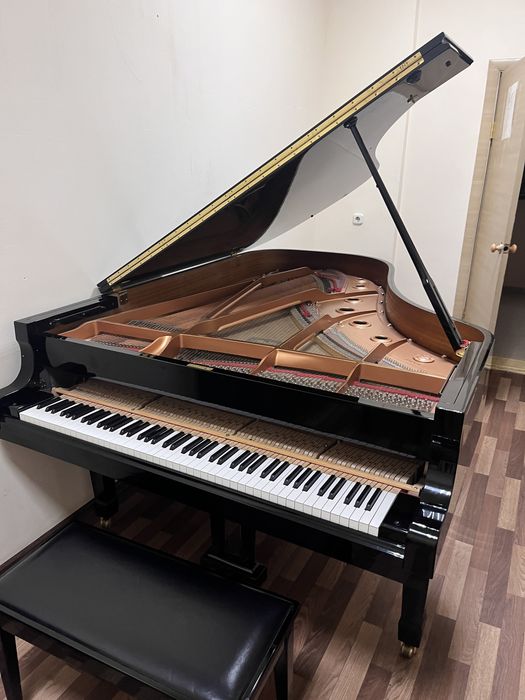 Настройка фортепиано и роялей