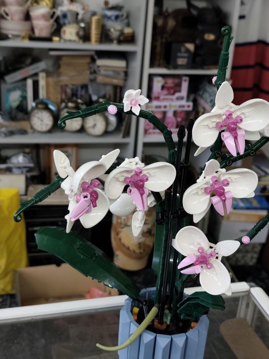 Лего 10311/10280/10281 Lego Botanicals