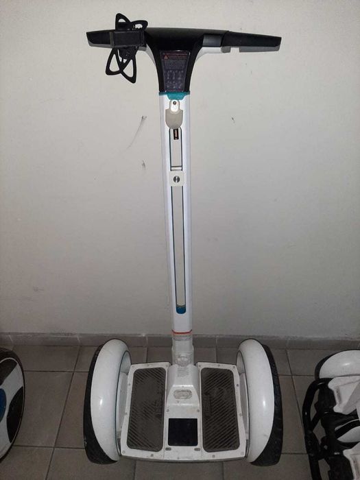 Segwey Ninebot-E (model P)