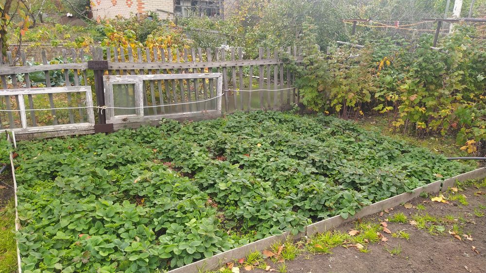 Продам дачу СО"Железобетонщик"