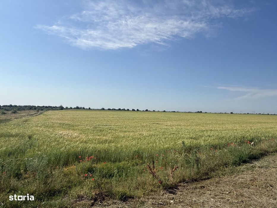 Teren 10 hectare pretabil pt panouri solare-Aricesti Rahtivani