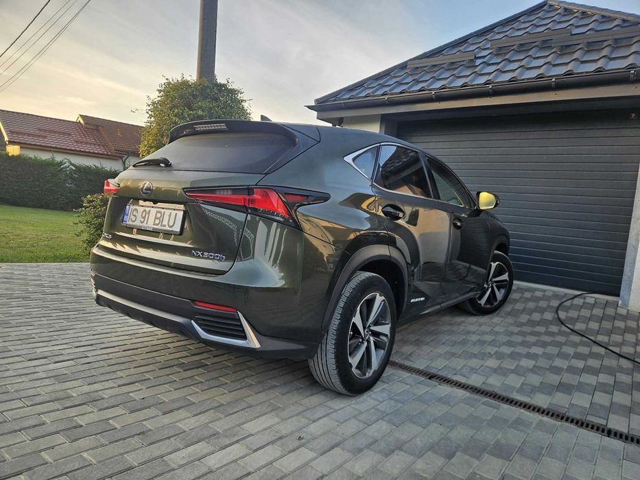 LEXUS NX 2020 — imagine 3