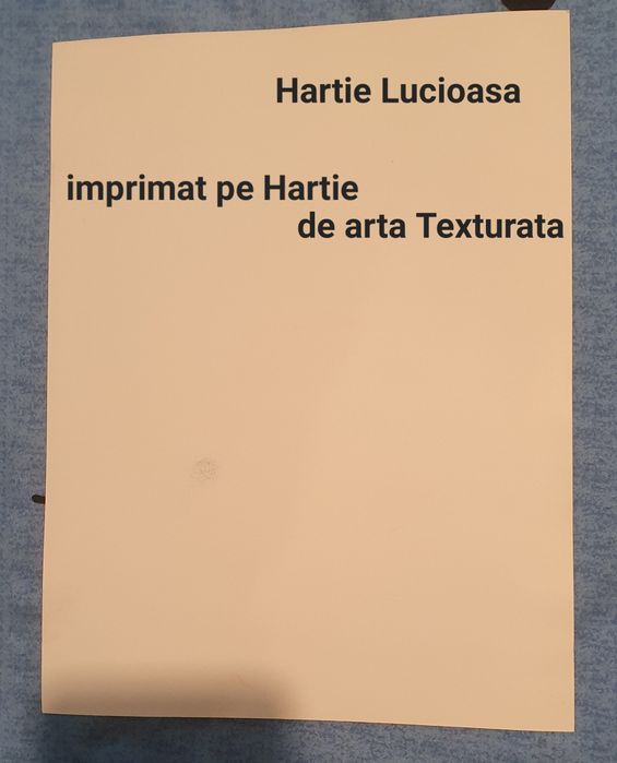 Tablouri : Natura Moarta si Ascot