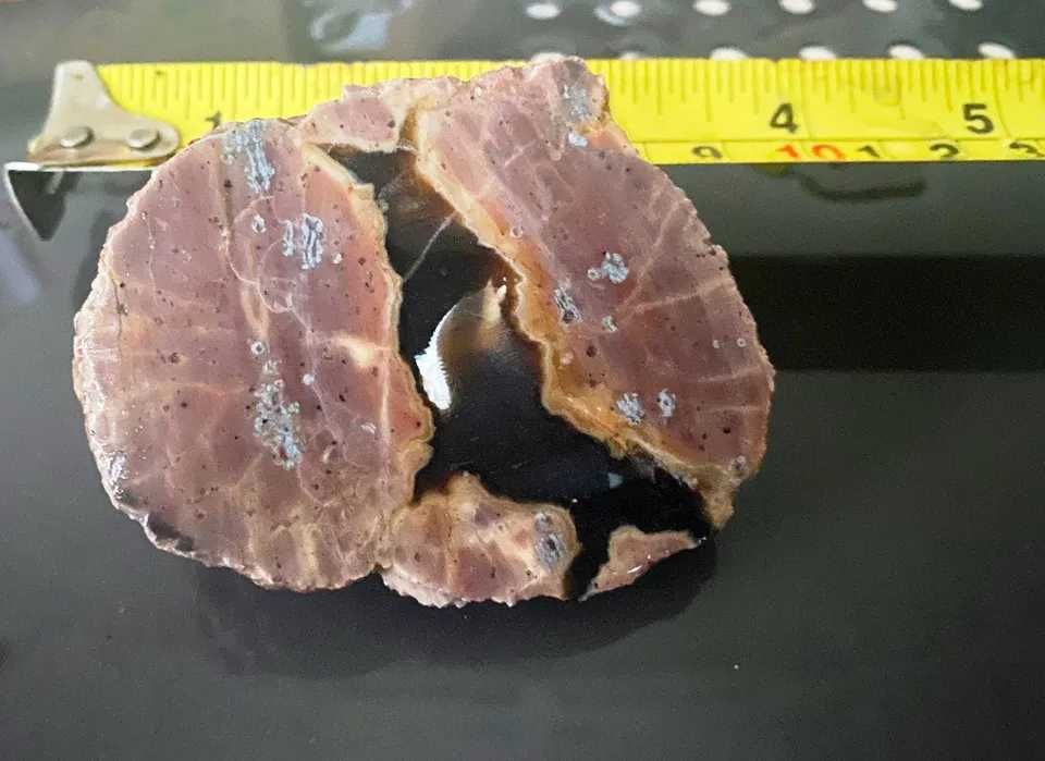 Thunderegg Oregon SUA 3 agate