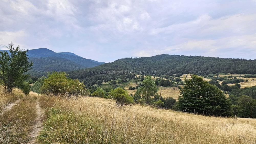 Къща в гората в с. Стърница, обл. Смолян