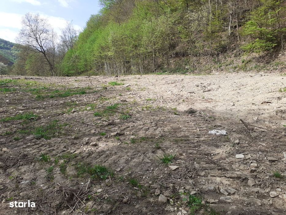 Teren extravilan in Munteni de vanzare
