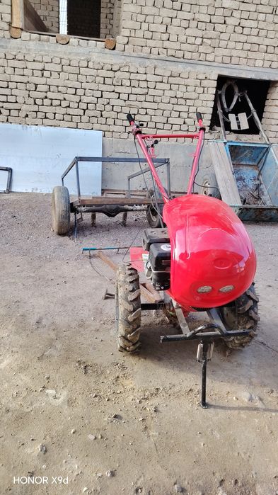 Bonis pulik flezir beriladi