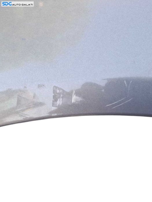 Aripa Stanga Fata Renault Scenic 2 2003 - 2009 Culoate TE266 [LC1791]