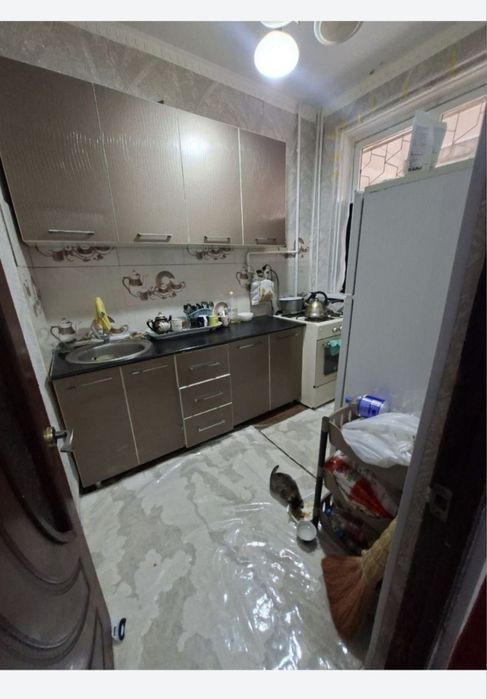 Navoiy Shahar Barkamol Avlod 3/20