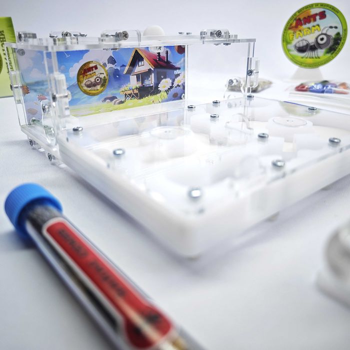 Муравьиная ферма - Муравьи жнецы ||| ГИПСОВЫЙ Формикарий "PREMIUM"