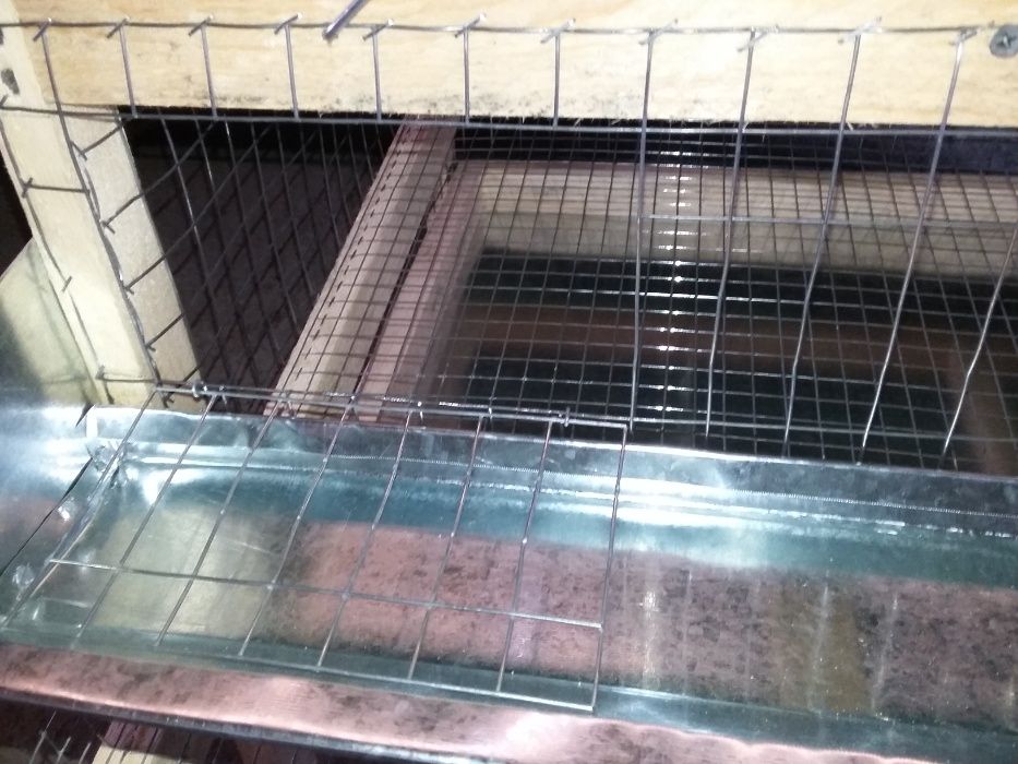 клетки для перепелов на 1 ярус