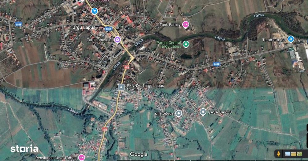 Casa de vanzare Targu Lapus zona centrala cu teren 3800mp si anexe