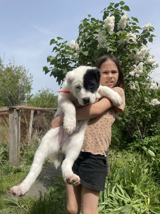 Супер 2 девочки,будущие супертяжи