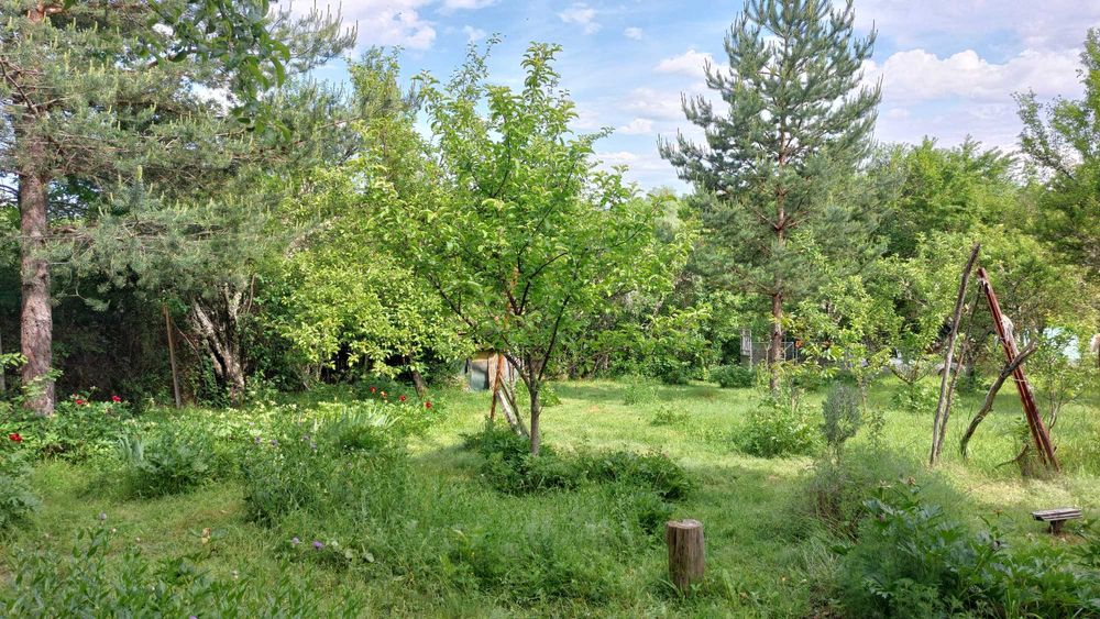 Продава се Къща в с. Егълница, Област Перник - 19 кв.м за 1053 €/кв.м - Снимка #4