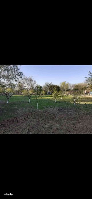 Proprietate mare 2529 mp  casa si anexe