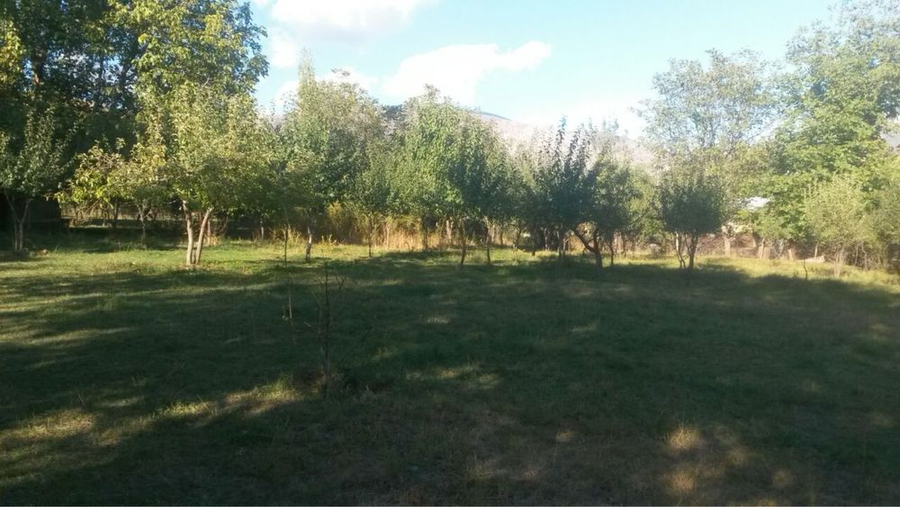 Сижжак наволисой 7 сотх