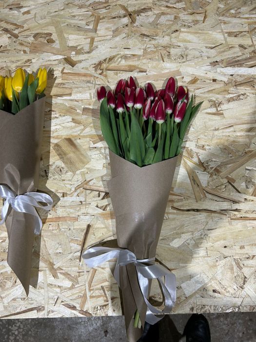 Крупный ТЮЛЬПАН Предзаказ