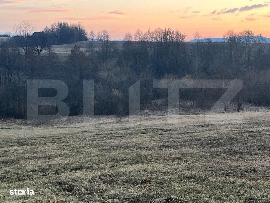 Teren intravilan, 27750mp, Horodnic de Jos, Radauti