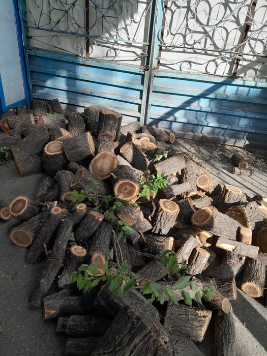 Дрова в чурках..