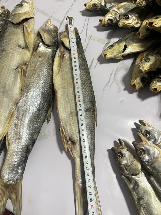 Кепкен балык сатамын