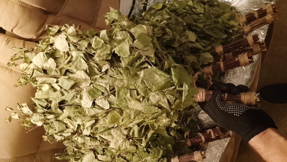 Продам берёзовые веники