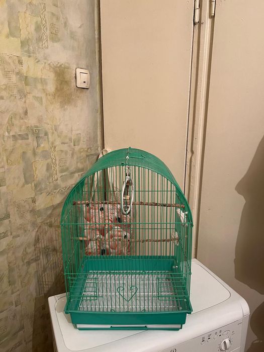 Клетка для попугая