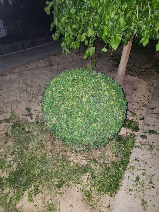 Gazon ekish xizmati landshaft ,poliv xizmati