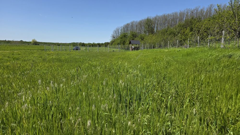 Micul tău paradis privat, 577 mp, aproape de București, pentru grădină și reședință