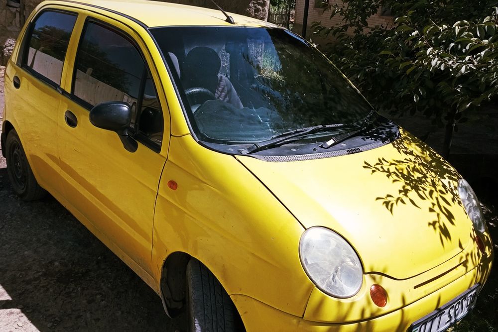 Сарик рангли матиз