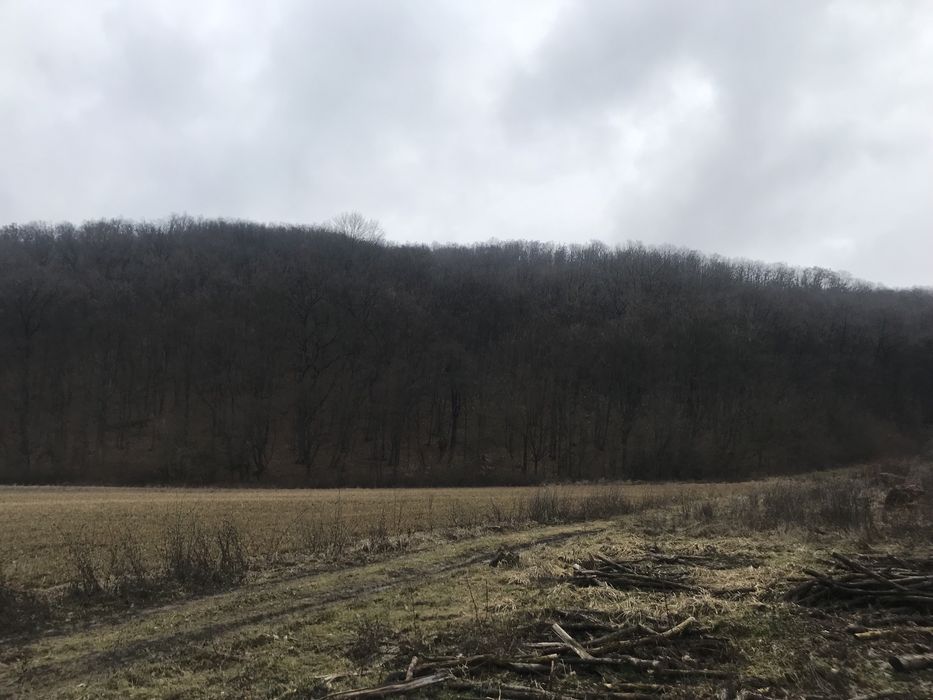 Vand teren extravilan