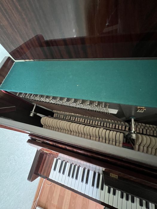 Фортепиано Беларусь