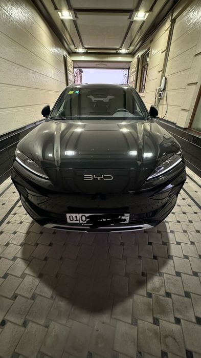 Byd champion smart drive