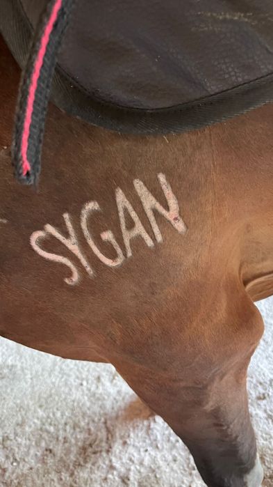 Азот тавро, азот танба