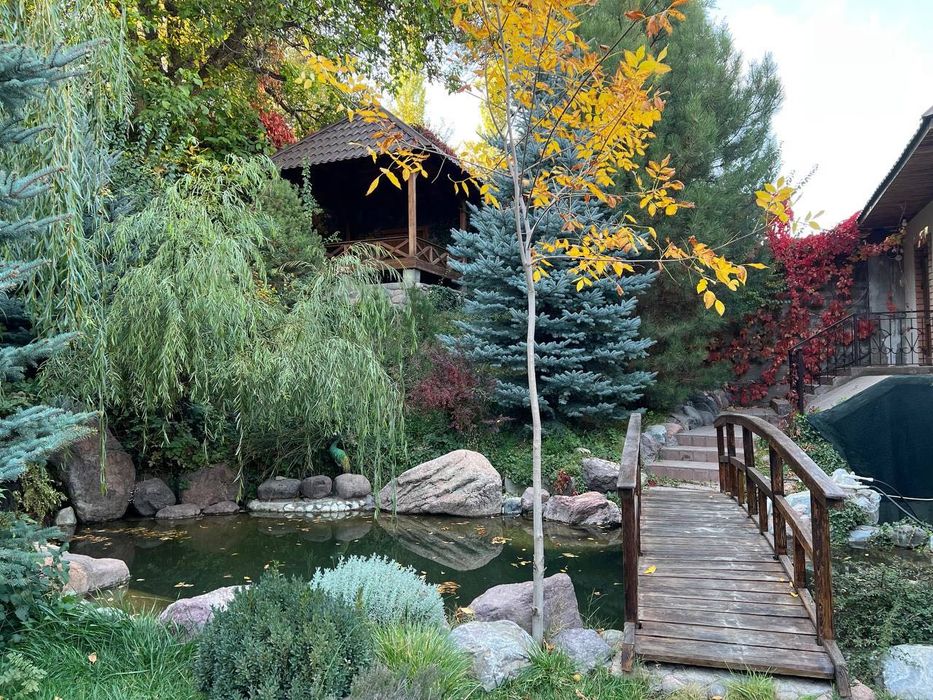 Вилла / Уникальное Шале в горах Чимган / Роскошный  Дом