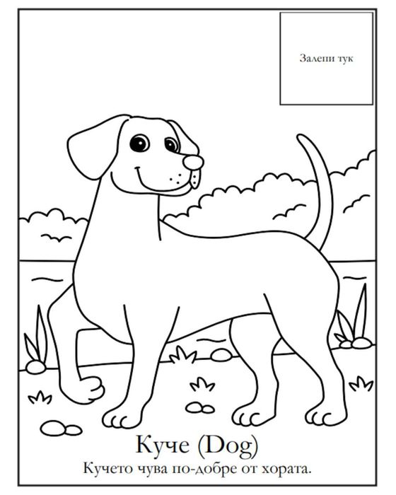 Книжка за оцветяване + английски (3–7 г.) 22 животни