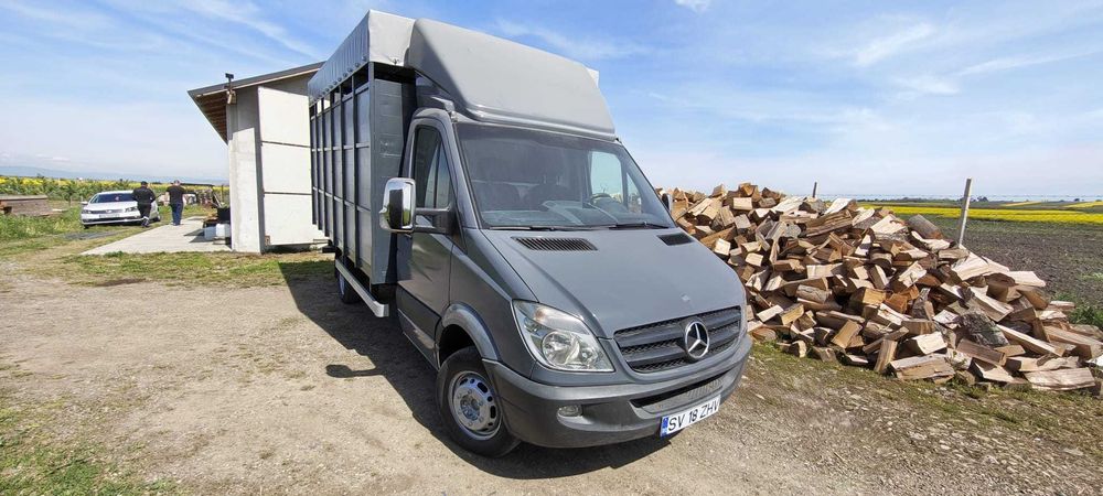 Mercedes Sprinter 515 CDI,  Transport animale, 2007