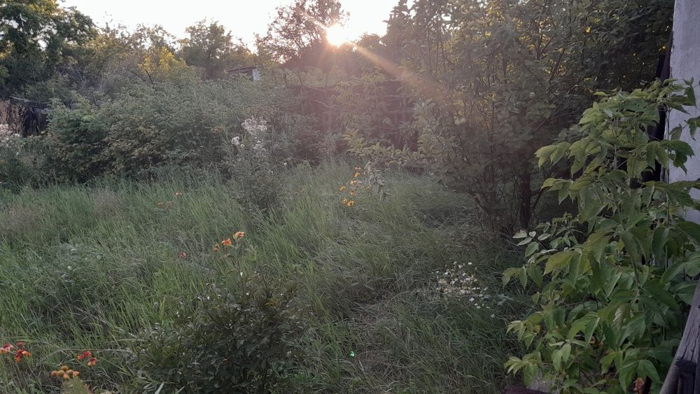 Продам дачный участок