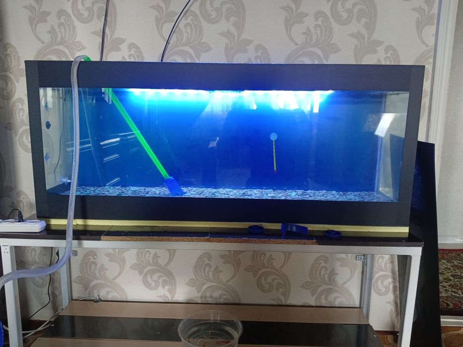 Продаю акавариум