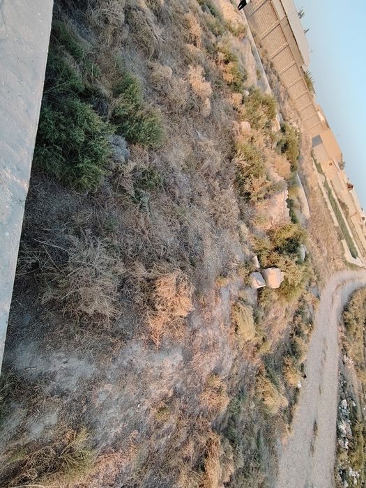 Срочнига участка сотилади!!!