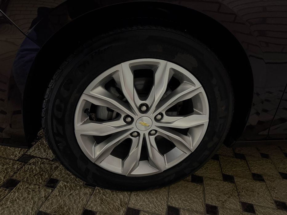 Malibu 2. PREMIER. Bozorchila qimasin