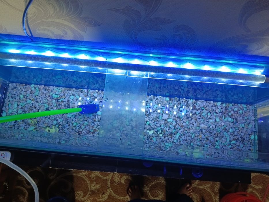 Продаю акавариум