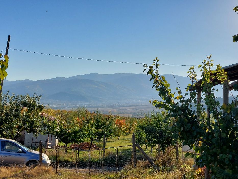 Овощна градина с.Дворище