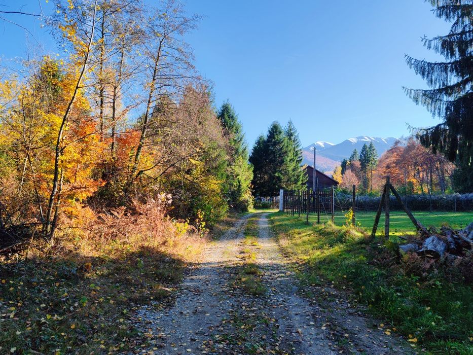 Teren Valea Avrigului