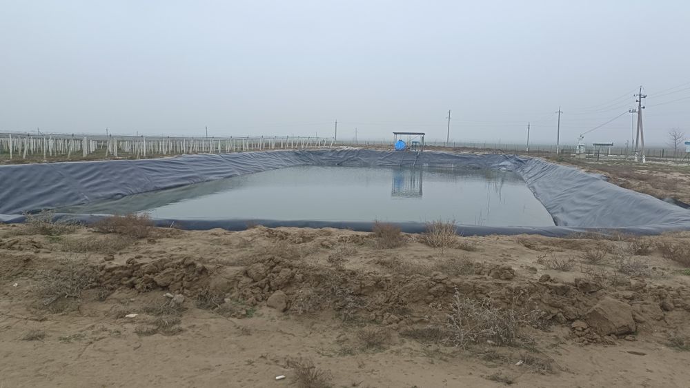 Uzim bog' kop yilga ijaraga beriladi