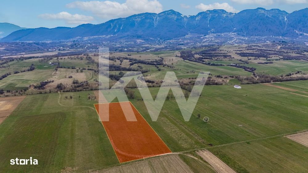 Oportunitate de investitie in Zarnesti I Teren intravilan 8557 mp